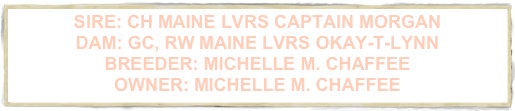 SIRE: CH MAINE LVRS CAPTAIN MORGAN 
DAM: GC, RW MAINE LVRS OKAY-T-LYNN 
BREEDER: MICHELLE M. CHAFFEE 
OWNER: MICHELLE M. CHAFFEE 